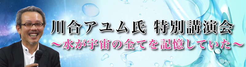 Site logo
